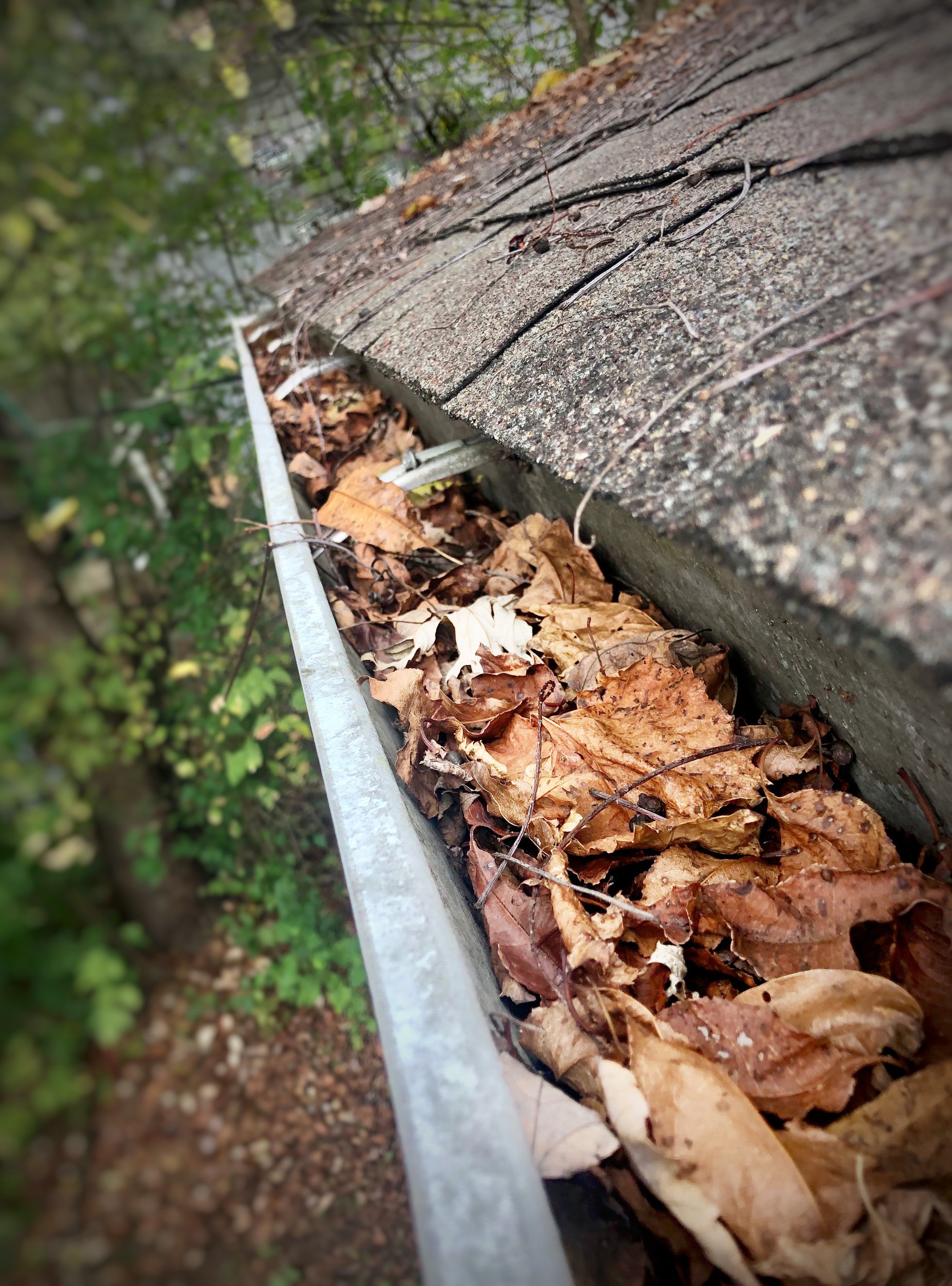 Gutter clogged with leaves